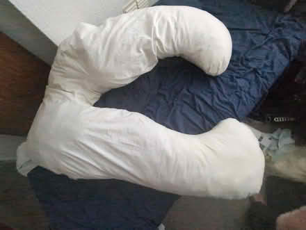 Photo of free Pregnancy pillow (Beechdale NG8) #1