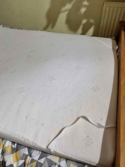 Photo of free Queensize bed topper (Chalford GL6) #2