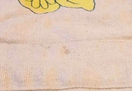 Photo of free Portuguese Kitchen Apron - Fruta Pao (Primrose LA1) #3