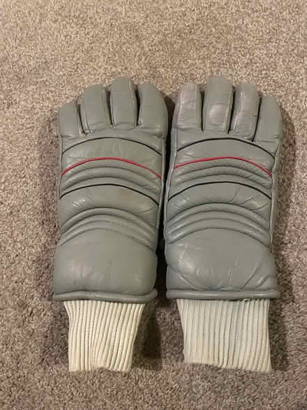 Photo of free Large ladies/small man’s padded gloves (Longbarn WA2) #1