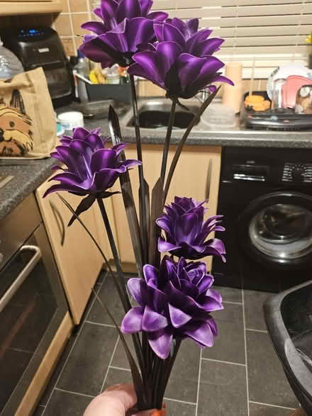 Photo of free Flowers (Ashton in Makerfield WN4) #1
