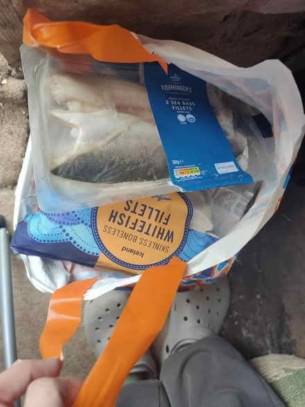 Photo of free Raw frozen dog food (Upton chester CH2) #4
