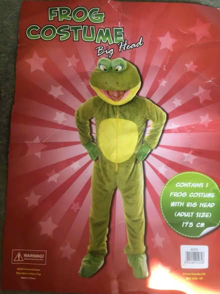 Photo of free Frog outfit (Silver Street TA11) #1