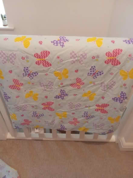 Photo of free Child's sleeping bag (Taunton TA1) #1