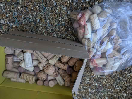 Photo of free Wine Corks (Belmont TN35) #2