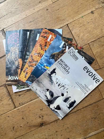 Photo of free Natural History Museum issues (Ealing W5) #1