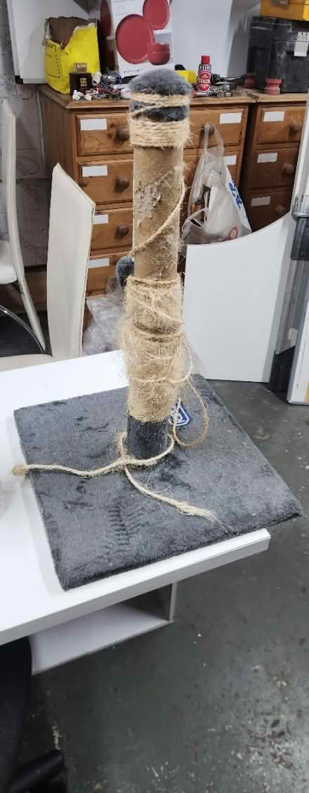 Photo of free Cat scratching post (BB1) #1