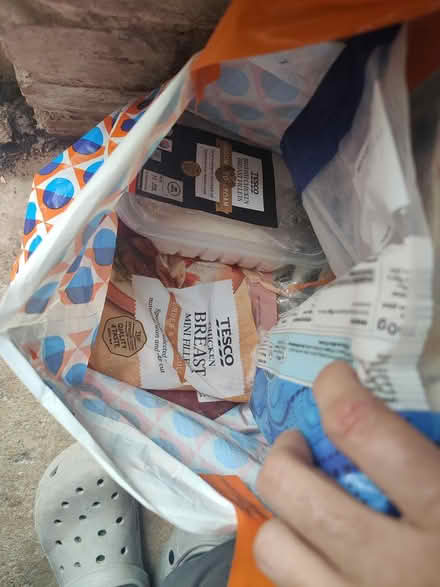 Photo of free Raw frozen dog food (Upton chester CH2) #3
