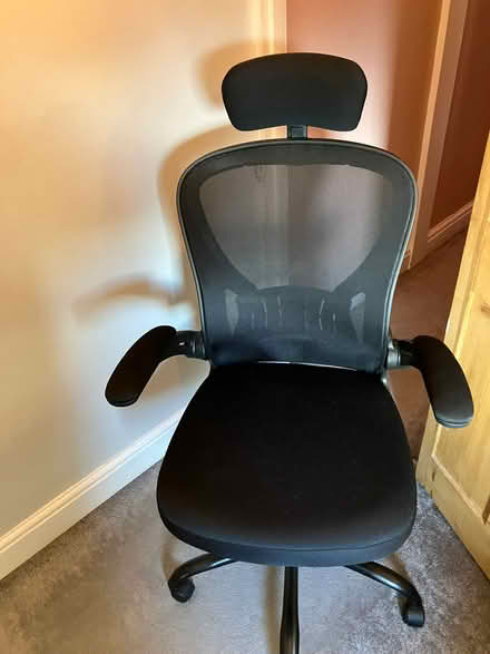 Photo of free Office chair (New Town CO1) #2
