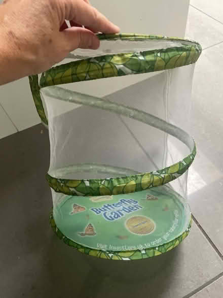 Photo of free Pop-up Butterfly garden (North Road) #2