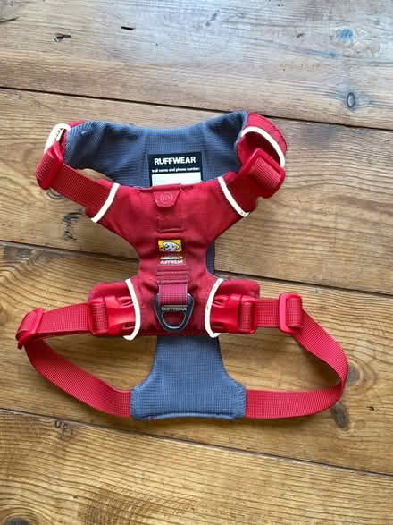 Photo of free Dog Harness (Wallands Park BN7) #1