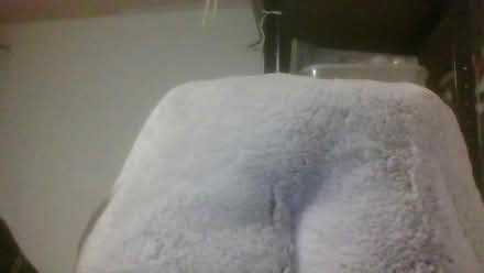 Photo of free unused cat igloo (Bath BA2) #2