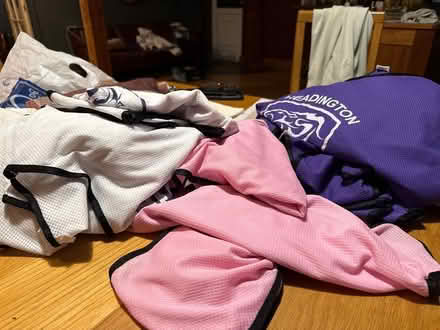 Photo of free 16 x Large Sport Bibs (Cumnor OX2) #2