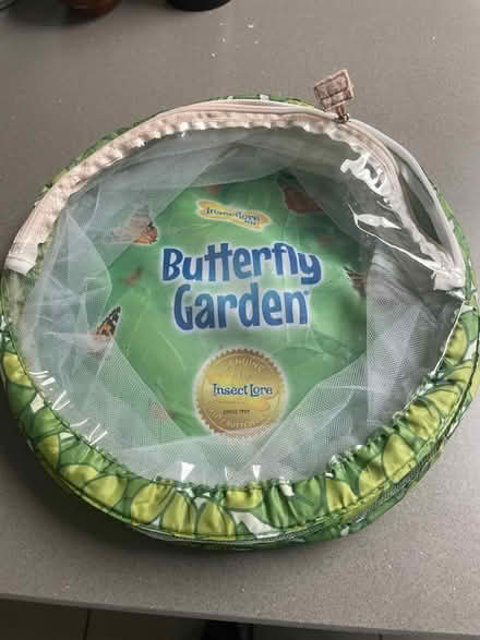 Photo of free Pop-up Butterfly garden (North Road) #1