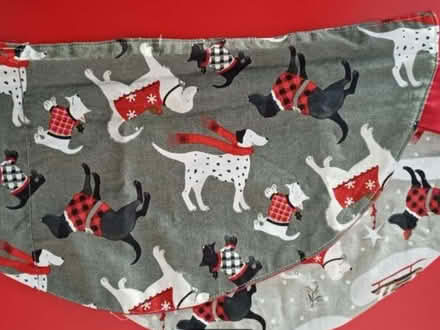 Photo of free Christmas tree napkins (Bradbourne Lakes TN13) #2