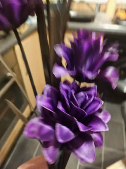 Photo of free Flowers (Ashton in Makerfield WN4) #3