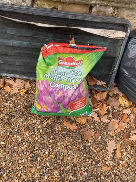 Photo of free Grow bag trays /small bag compost (TW1 St Margaret’s) #3