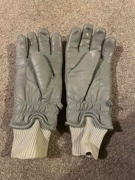 Photo of free Large ladies/small man’s padded gloves (Longbarn WA2) #2