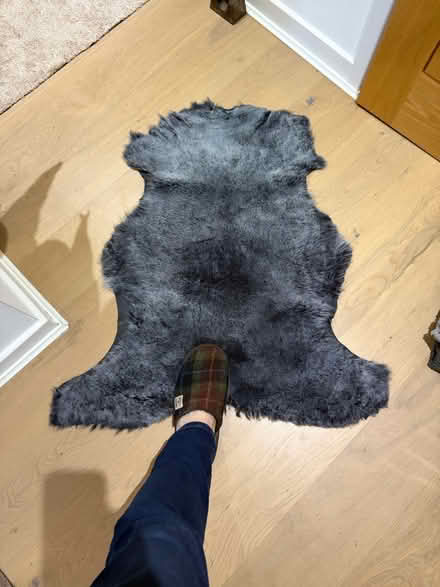 Photo of free Sheepskin rug (Central Tonbridge TN9) #1