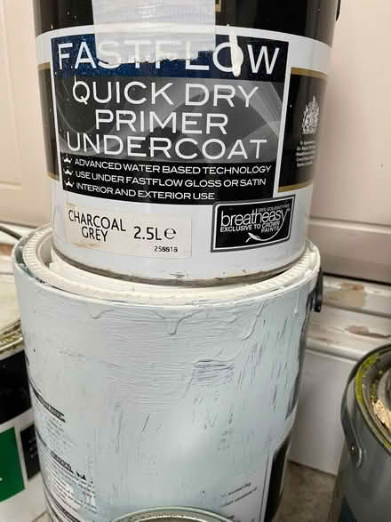 Photo of free Assorted paints & polyfiller (W4) #2