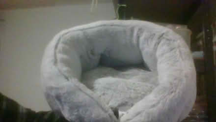 Photo of free unused cat igloo (Bath BA2) #3