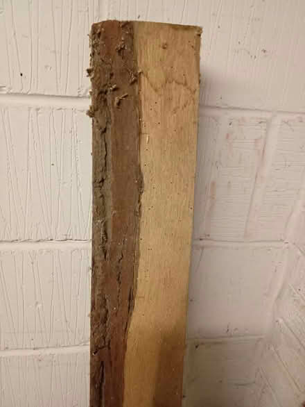 Photo of free Length of oak (St Peters WR5) #3