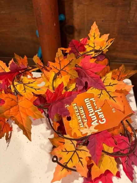 Photo of free Leaf garland (N Cambridge near Matignon) #1