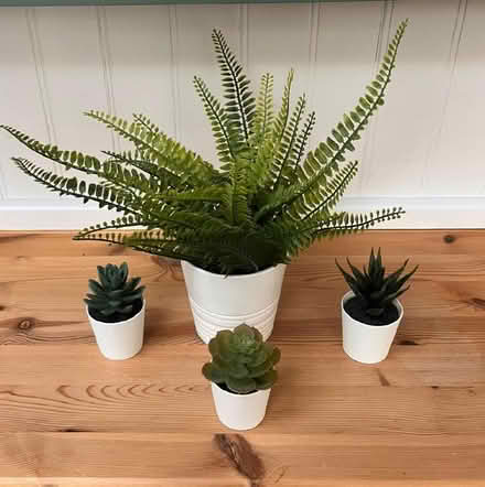 Photo of free 4 fake pot plants and ivy (Jersey Farm AL4) #1