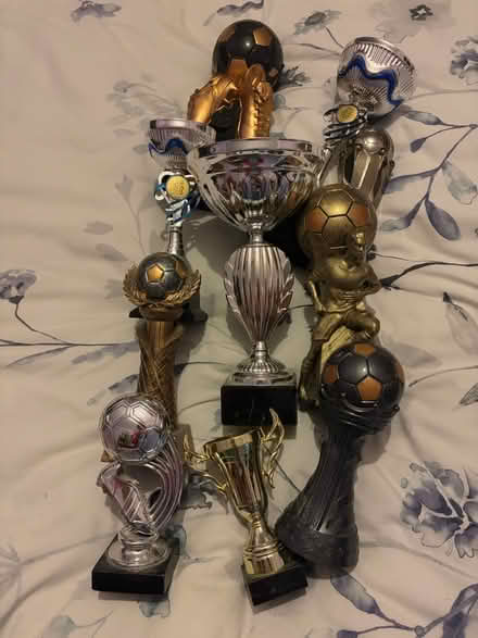 Photo of free Trophies (Gillingham ME7) #1