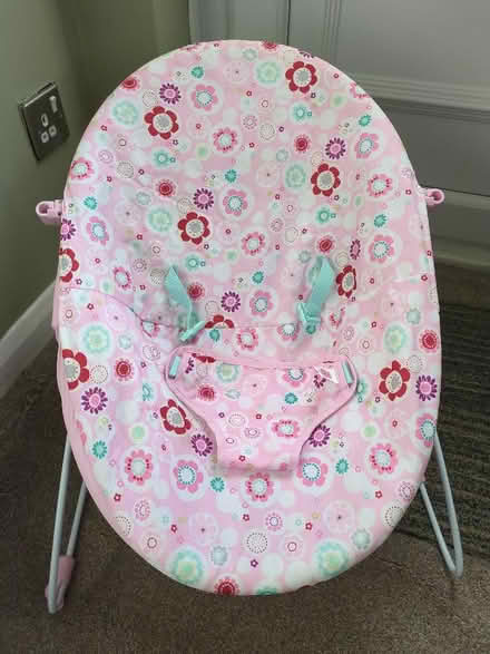 Photo of free Baby bouncer chair (Orgreave S13) #1