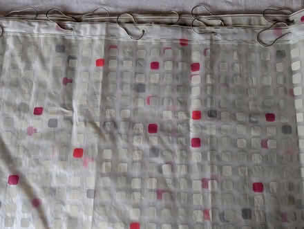 Photo of free Shower curtain (Amherst) #1