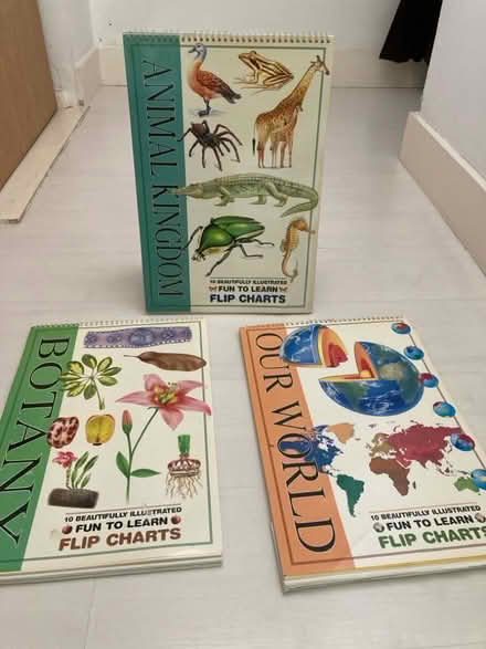 Photo of free Educational flipcharts (Walworth SE17) #1