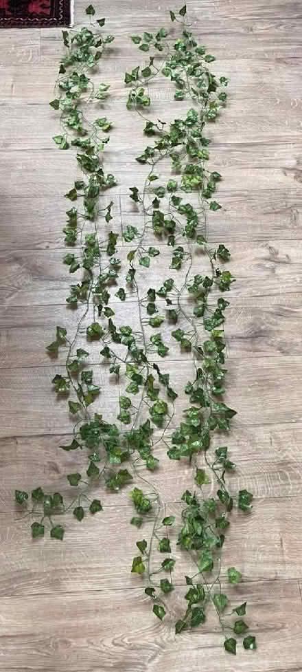 Photo of free 4 fake pot plants and ivy (Jersey Farm AL4) #2