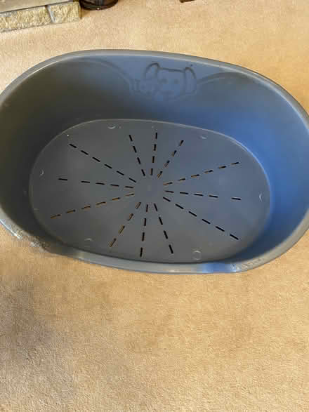 Photo of free Hard side dogs bed (Wonersh, south of Guildford) #1