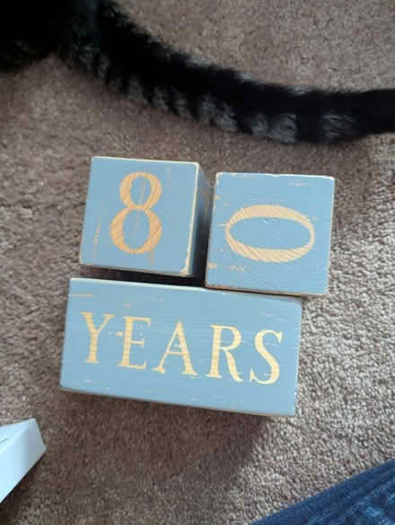 Photo of free Baby age blocks (Leedom, Ridley park) #2