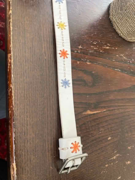 Photo of free belt 39” (Chevy Chase DC) #1