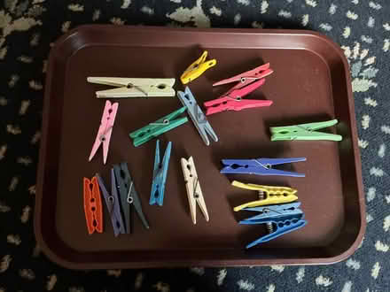 Photo of free Clothes pegs (Walkley S6) #2