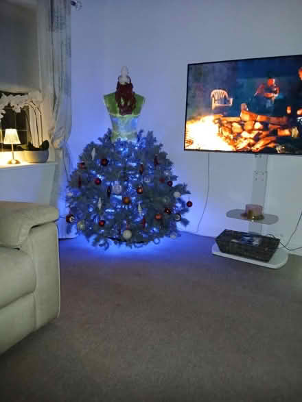 Photo of free Christmas tree branches (TN40) #2