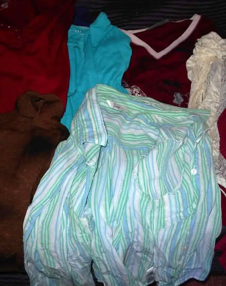 Photo of free Clothes (Parson Cross S5) #4