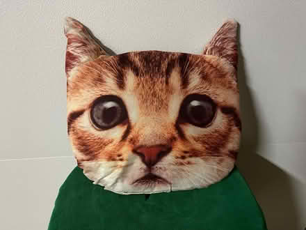 Photo of free Super Cute Kitty Pillow (near the Cupertino Library) #1