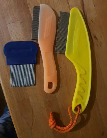 Photo of free Clean nit / flea combs (Box GL6) #1