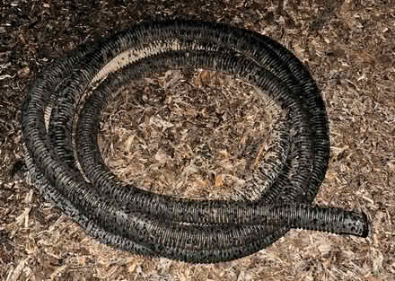 Photo of free Sump Pump hoses (Martinez, near Ace Hardware) #2