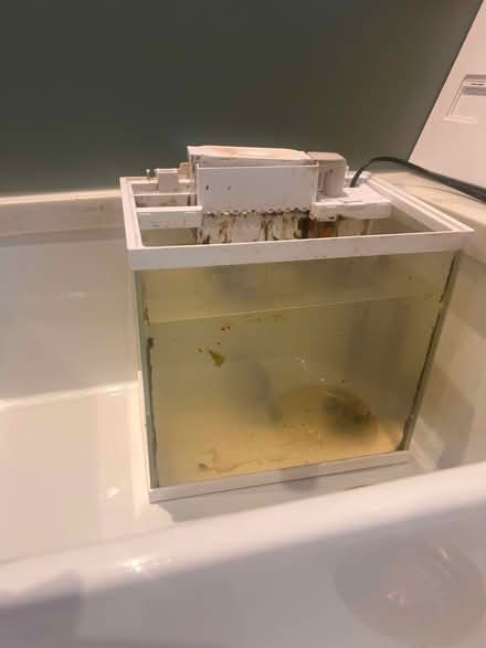 Photo of free Small fish tank with filter & light (Upper Wolvercote OX2) #1