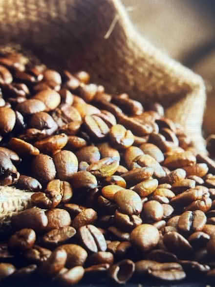 Photo of Coffee Beans (Bomere Heath SY4) #1