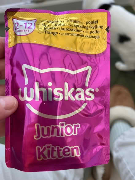 Photo of free Bagful of cat food (The Dovecotes WV8) #2