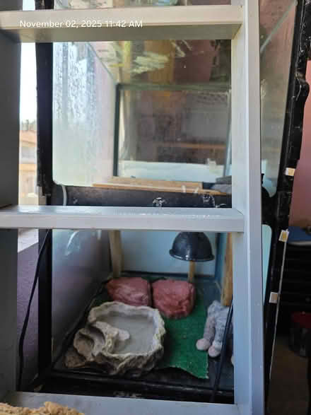 Photo of free Reptile aquarium habitat (Newbury Park) #3