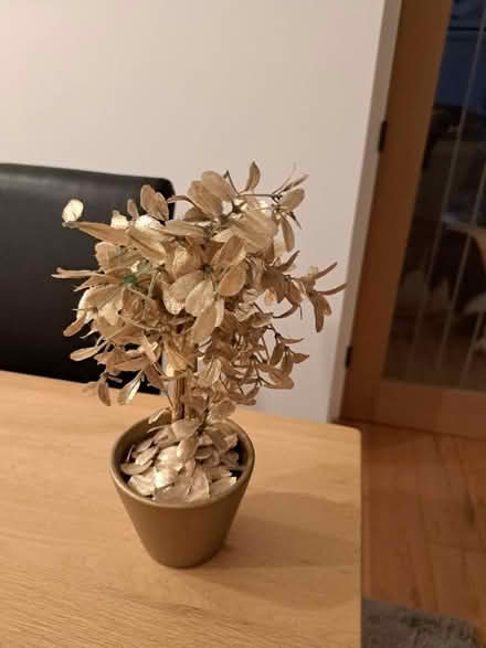 Photo of free Christmas decoration (Woodley RG5) #1