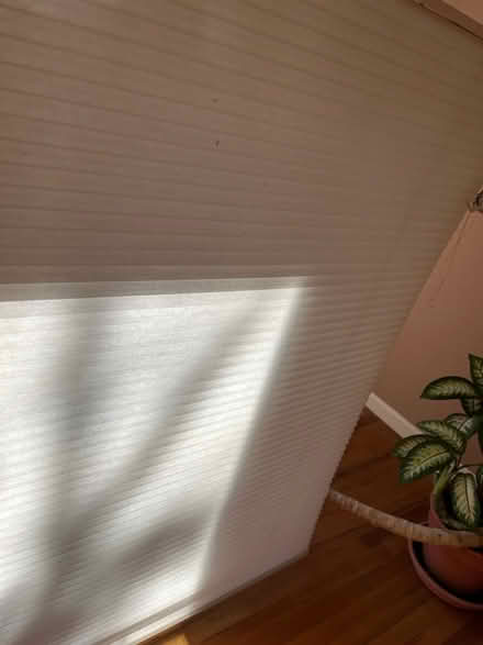Photo of free Window blinds (Kentlands, Gaithersburg) #2