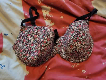 Photo of free Floral Tshirt Bra 38E (Shard End, B34) #1