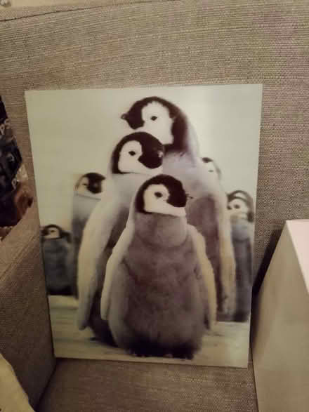 Photo of free Penguin picture (Harold Hill RM3) #1